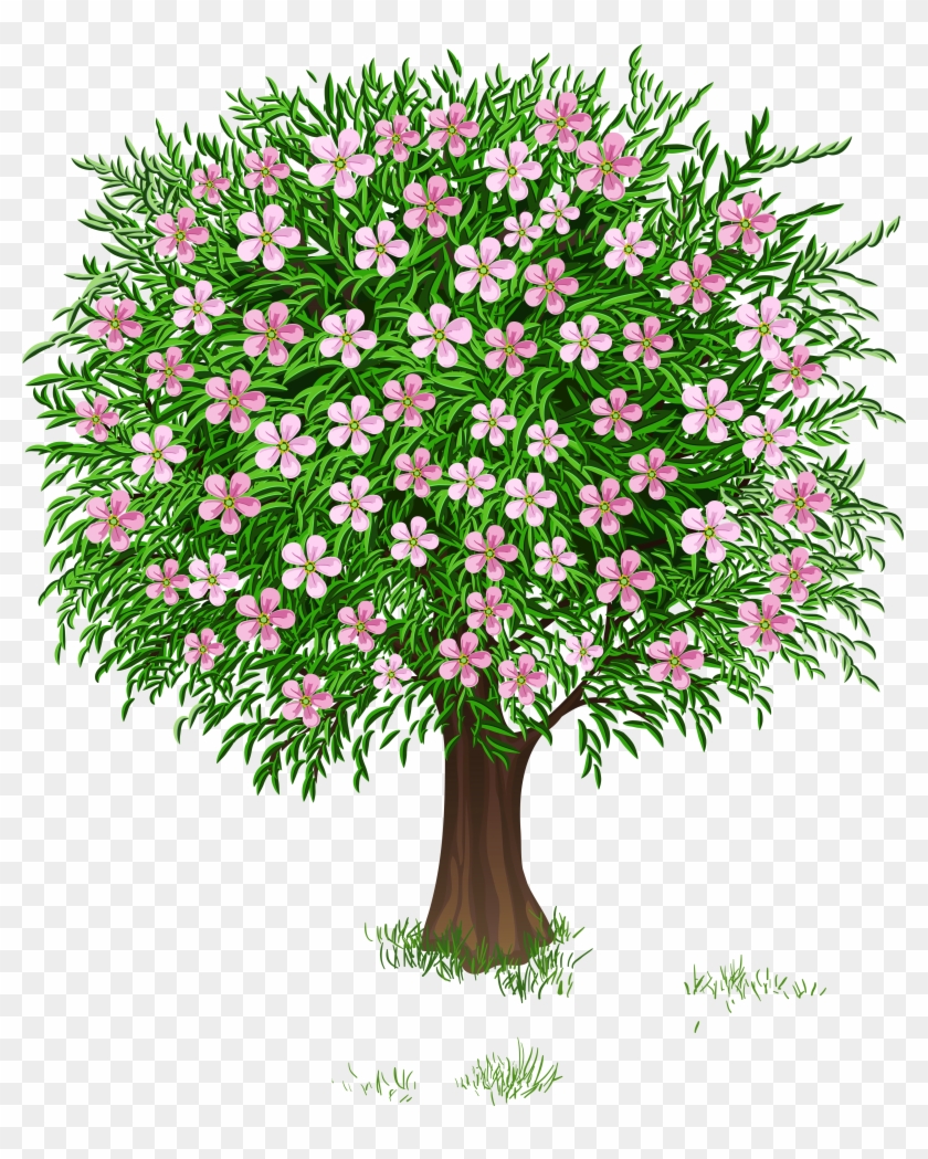 Весна Дерево Прозрачный Png Изображения Clipart - Spring Tree Clipart #273649