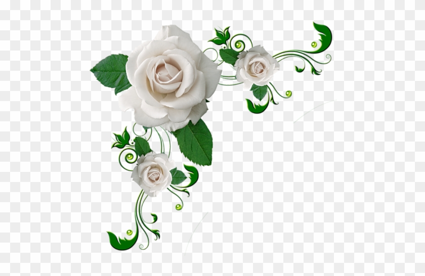 Coins Avec Fleurs Pour Cadres - White Roses No Background #273674