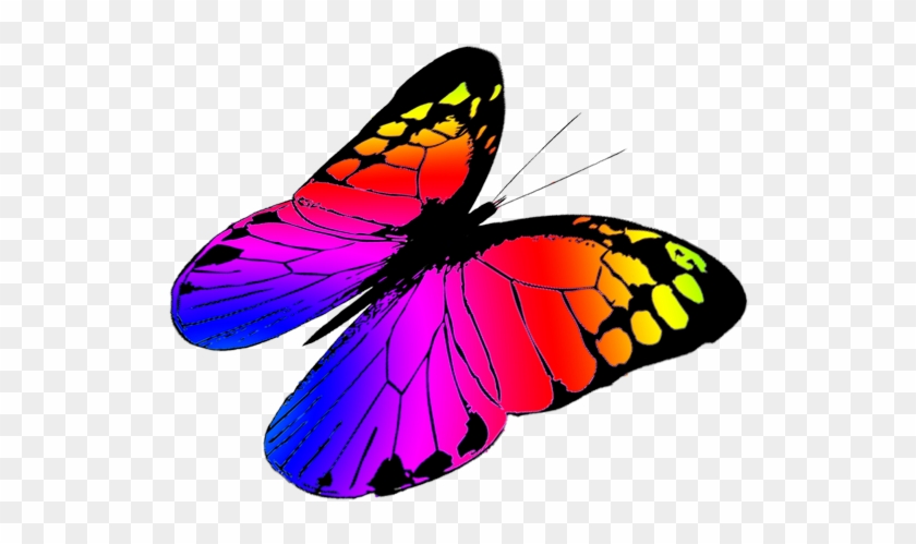 Free Butterflies Drawing, Free Butterfly Clipart - Colorful Butterflies Flying Png #273733