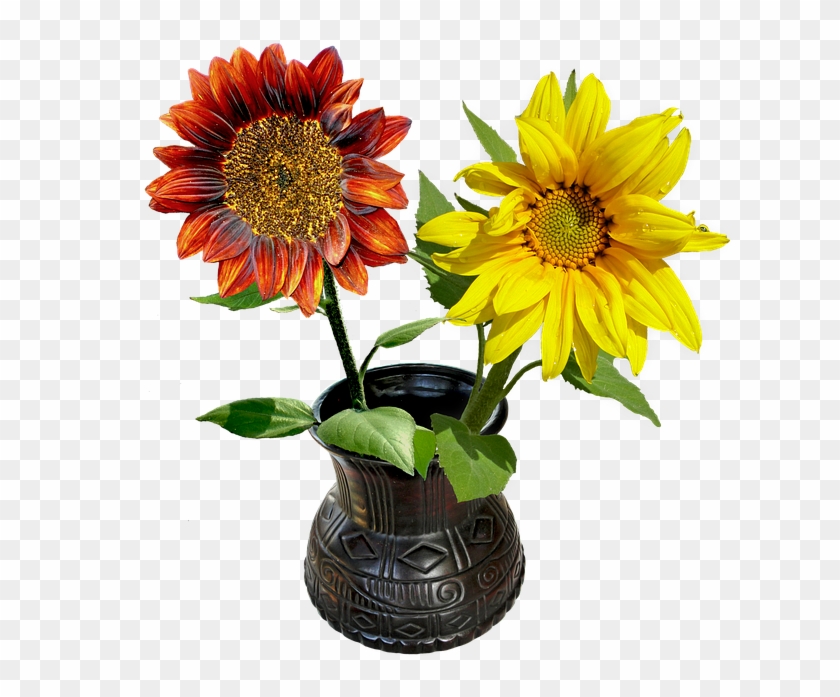 Sunflowers Png 18, Buy Clip Art - Sonnenblume-einfache Elegante Quadratische 13,3 Cm #273741