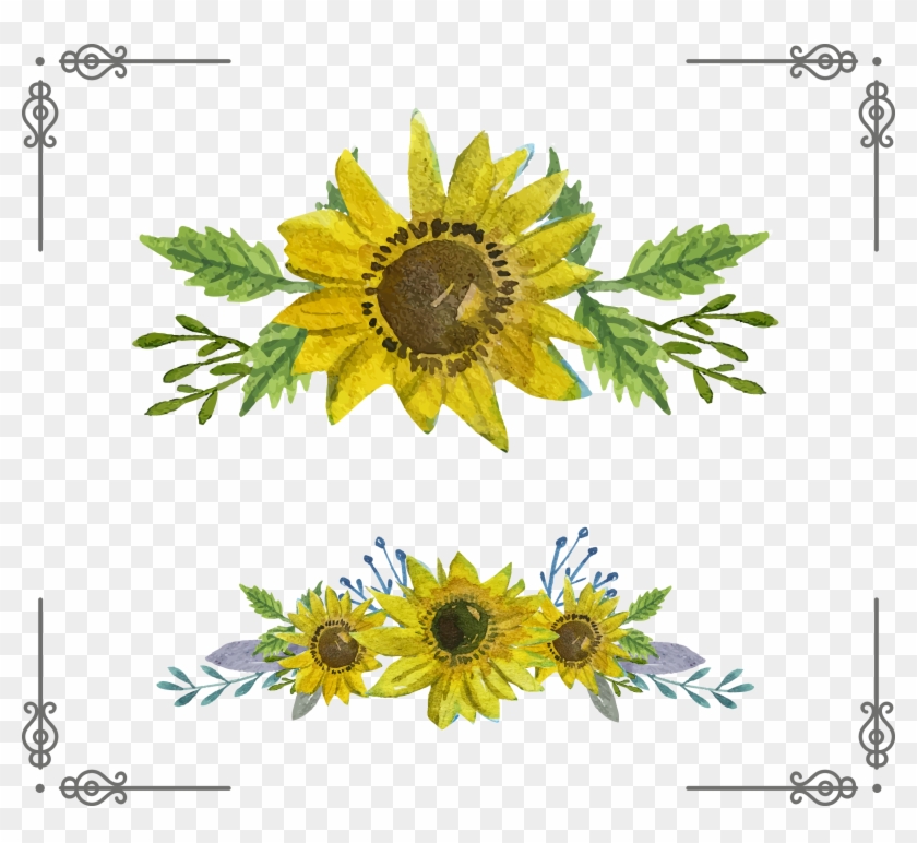 Common Sunflower Euclidean Vector Download - Common Sunflower Euclidean Vector Download #273912