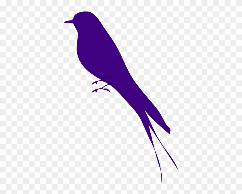 Bluebird Clipart #273815