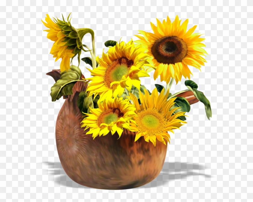 Common Sunflower Sunflowers Clip Art - Common Sunflower Sunflowers Clip Art #273953