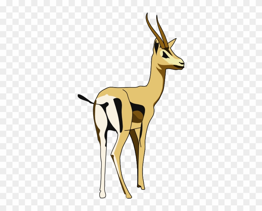 Gazelle Clipart - Gazelle Clip Art #273932