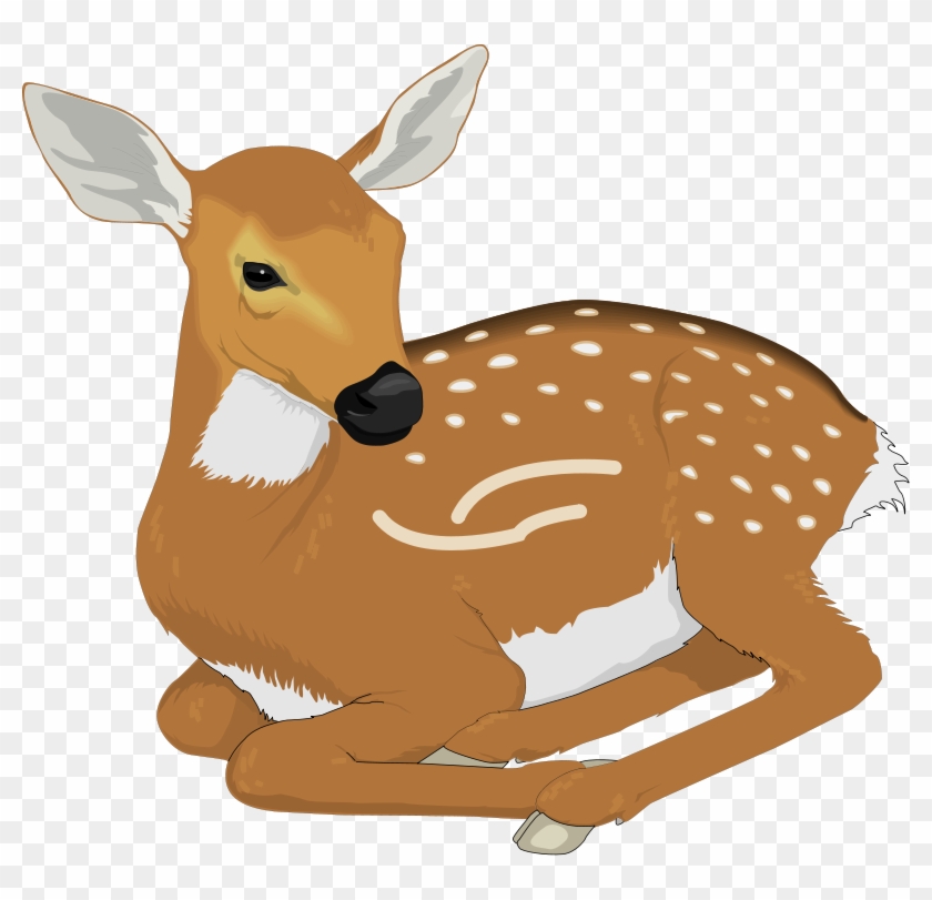 Deer Clipart - Fawn Clipart #274074