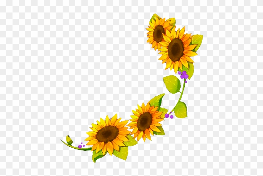 Four Cut Sunflowers Common Sunflower Sunflower Seed - Four Cut Sunflowers Common Sunflower Sunflower Seed #274186