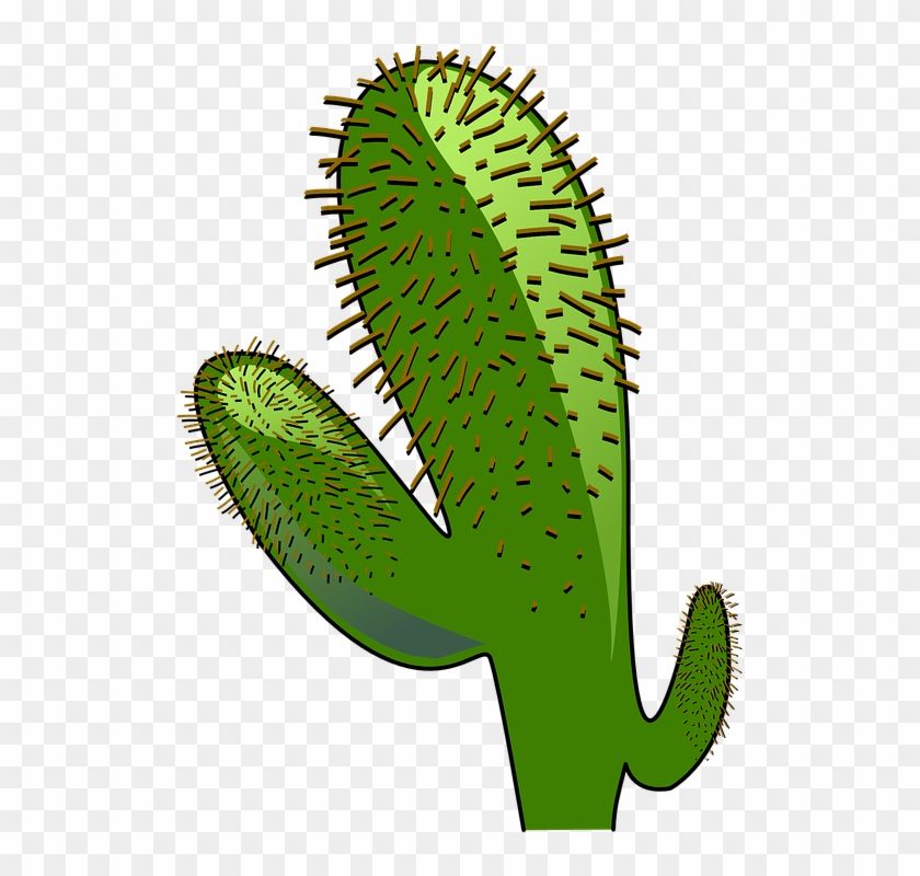 Cowboy Cactus Cliparts 9, - Animated Cactus #274234