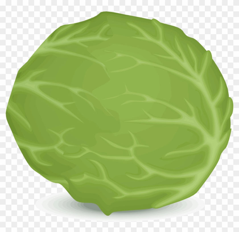 Big Image - Lettuce Clipart Png #274276