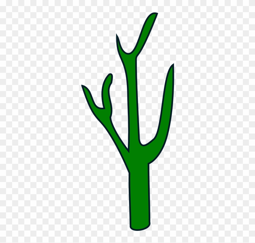 Free Vector Graphic - Cactus #274287