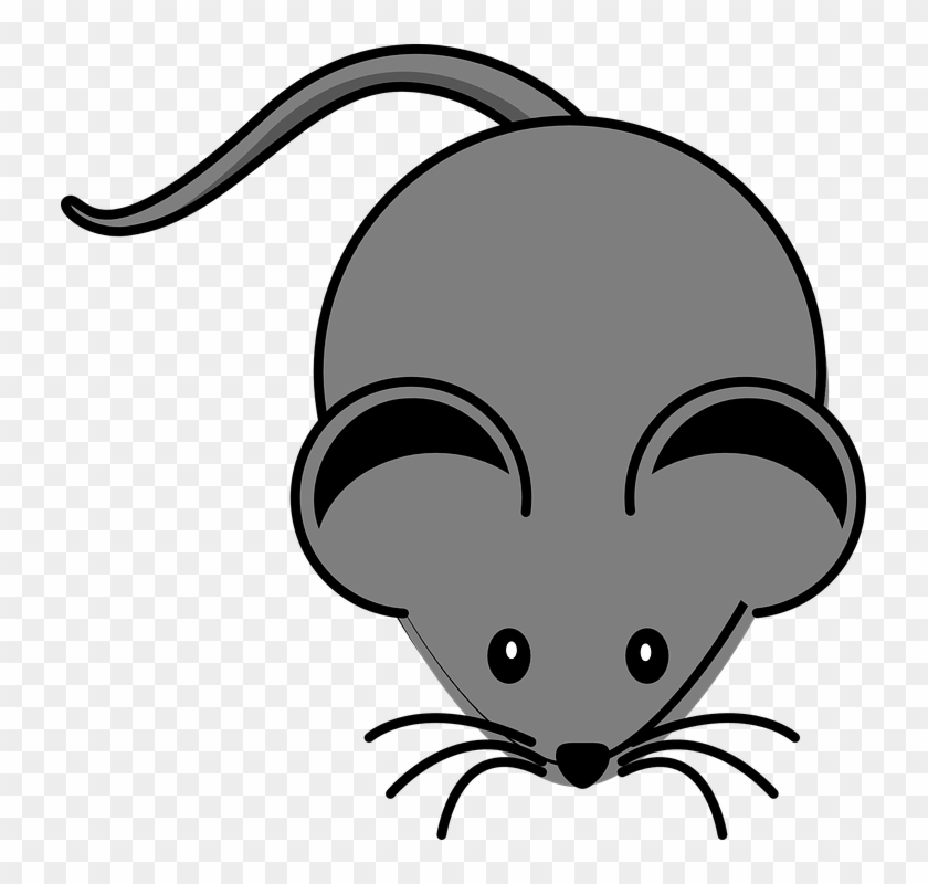 Grey Clipart Mouse Animal - Clip Art Of Mouse #274498