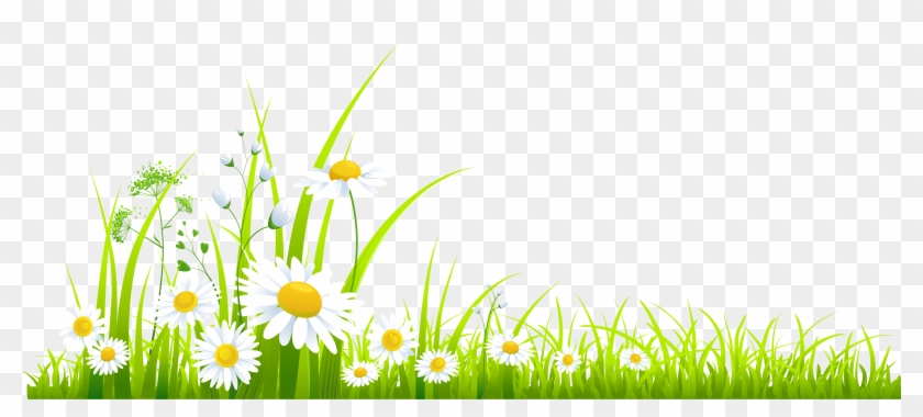 Spring Grass With Camomile Png Clipart - Spring Png #274505