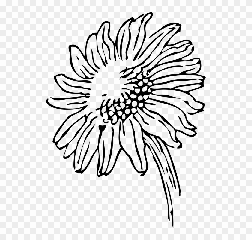 Elegant Wedding Cliparts 28, Buy Clip Art - Sunflowers Clip Art Black And White #274551