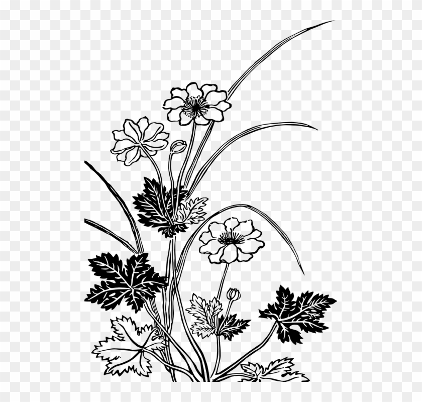 Vintage Wedding Graphics 24, Buy Clip Art - Flowering Plant Black And White #274585