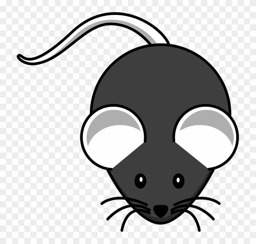 Whiskers Clipart Little Mouse - Mouse Drawing Easy - Free Transparent PNG  Clipart Images Download