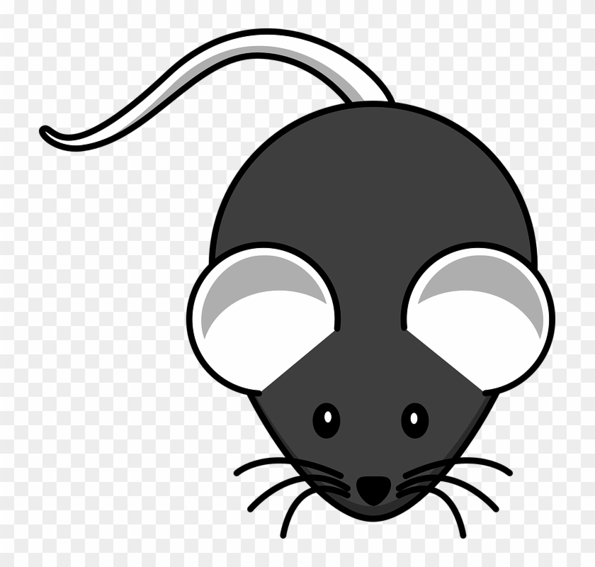 Whiskers Clipart Little Mouse - Mouse Drawing Easy #274590