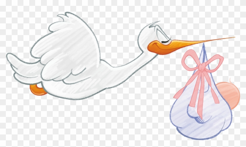 Carrying Baby Girl - Stork In Hat Carrying Baby - Free Transparent PNG ...