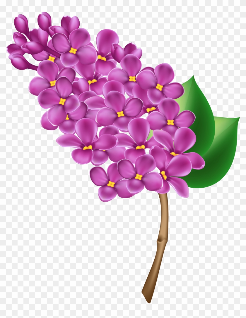 Purple Flower Clipart No Background - Purple Flower Clipart No Background #275122