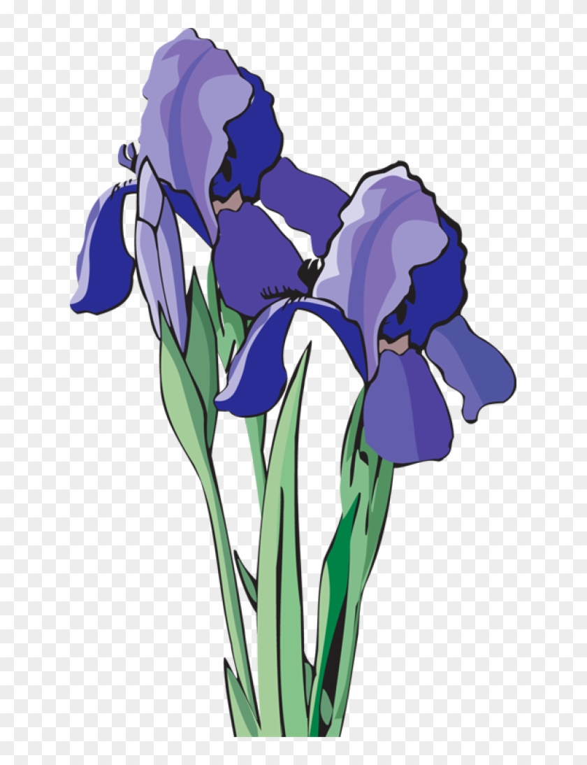 Iris Flower Clipart - Purple Iris Clip Art #275130