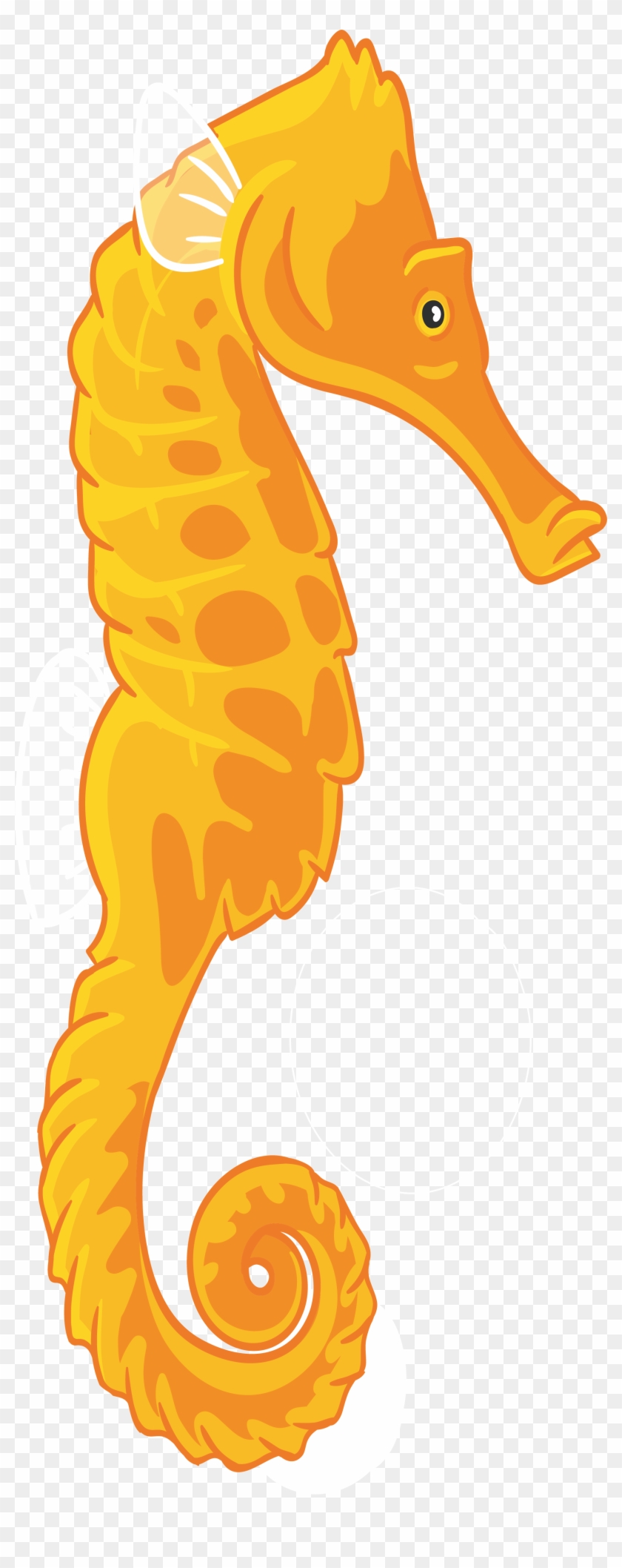 Seahorse Cartoon Drawing Illustration - Cartoon Seahorse #275198