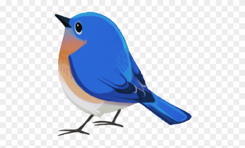 Birding News 201405 Wild Bird Club - Bird #275214