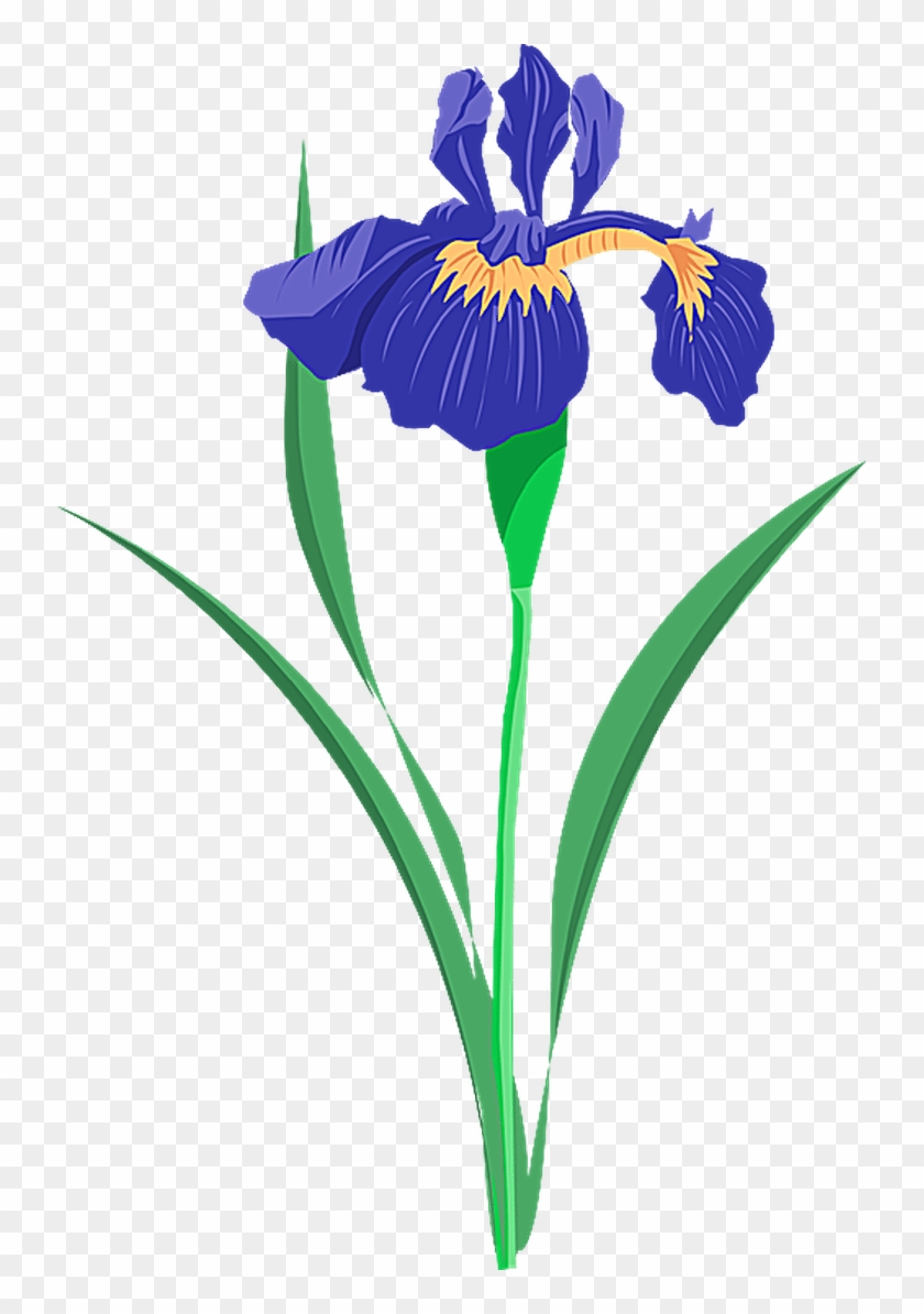 Grab This Free Summer Flower Clip Art - Purple Iris Clip Art #275231