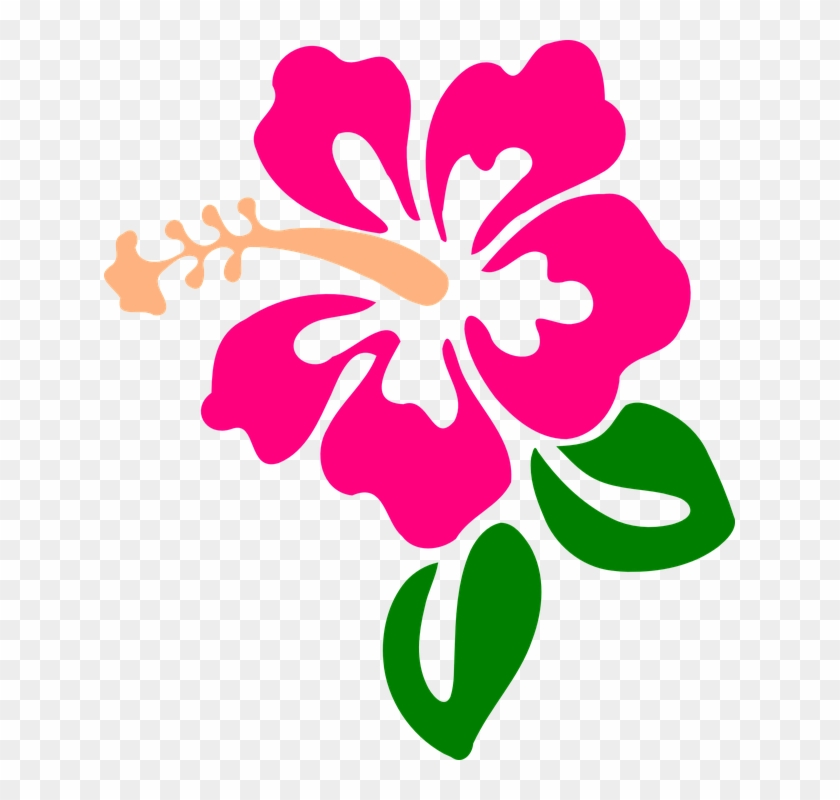 Hibiscus Flower Drawings 8, - Hibiscus Clip Art #275297