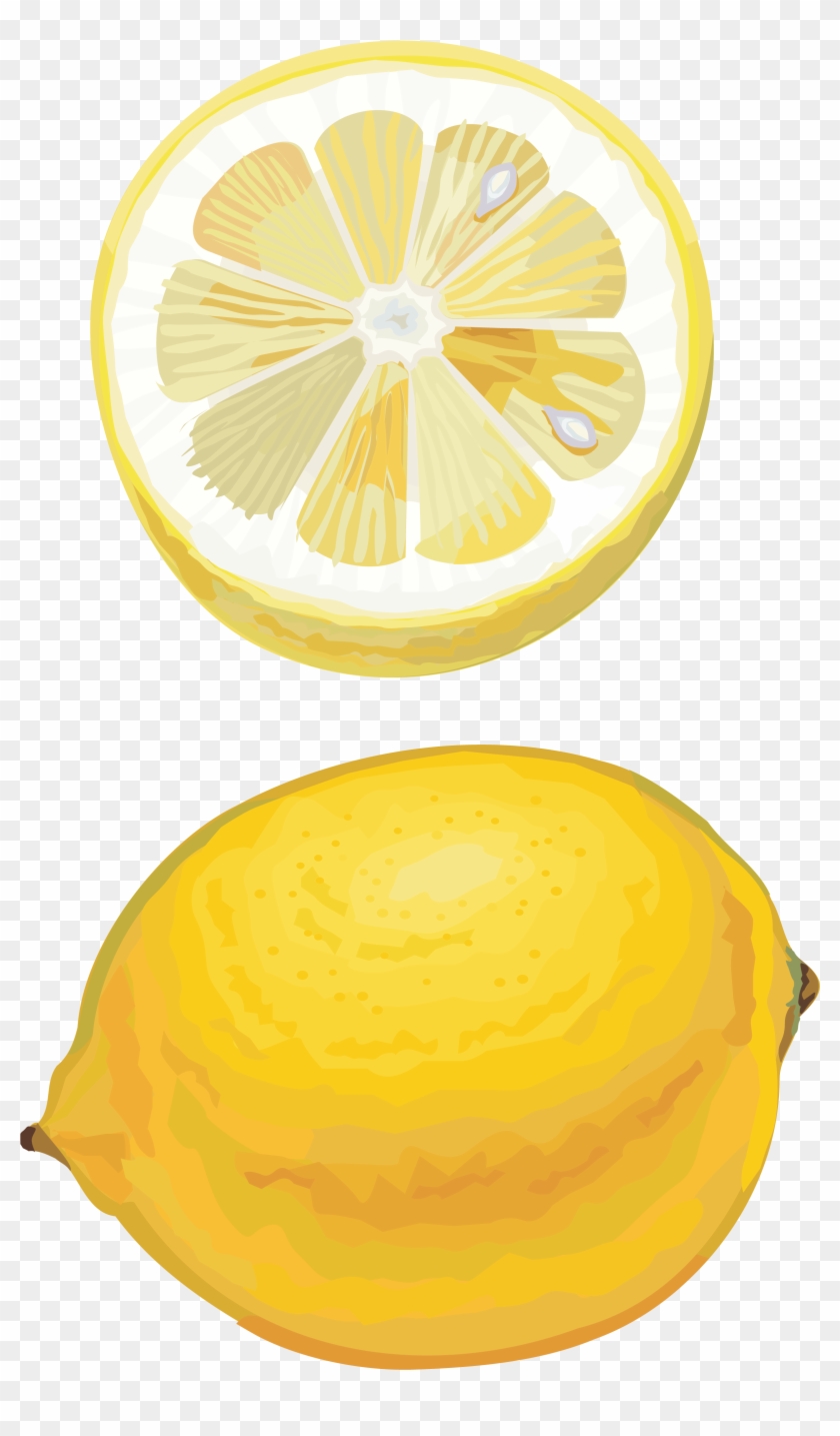 Lemon Drawing Cut - Citron #275361