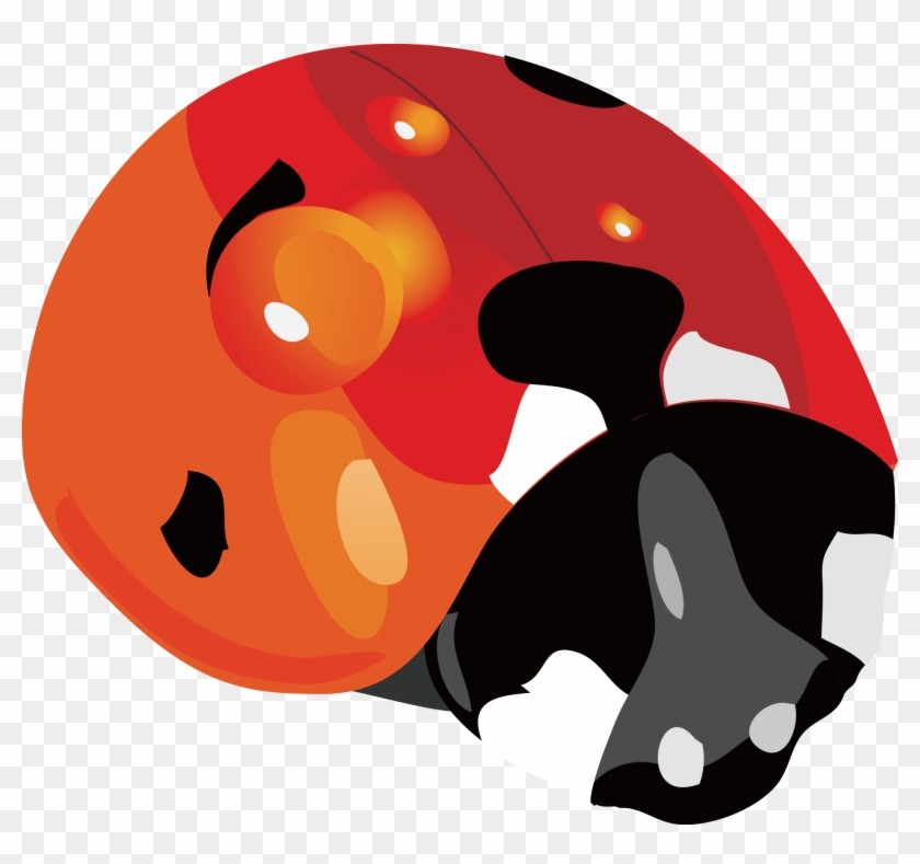 Ladybug Vector 1884*1681 Transprent Png Free Download - Ladybug Vector 1884*1681 Transprent Png Free Download #275382
