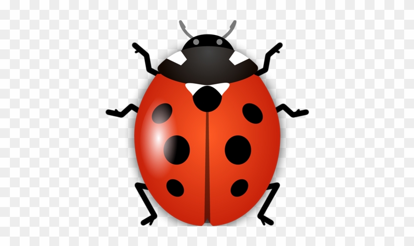 Hello And Welcome To Ladybirds Garden Services - Ladybird Insect #275400