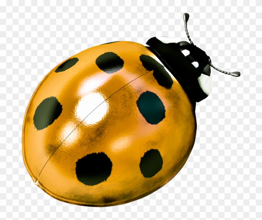 Ladybug With Legs Clip Art At Clker - Ladybird Beetle #275423