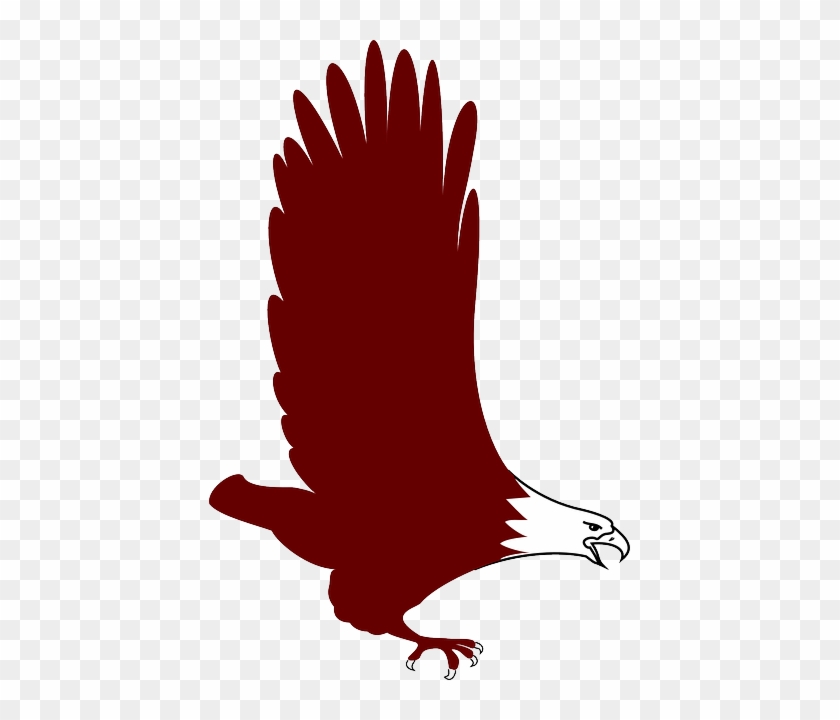 Bird, Flying, Wings, Feathers, Soaring, Fly - Eagle Icon Soaring Png #275632