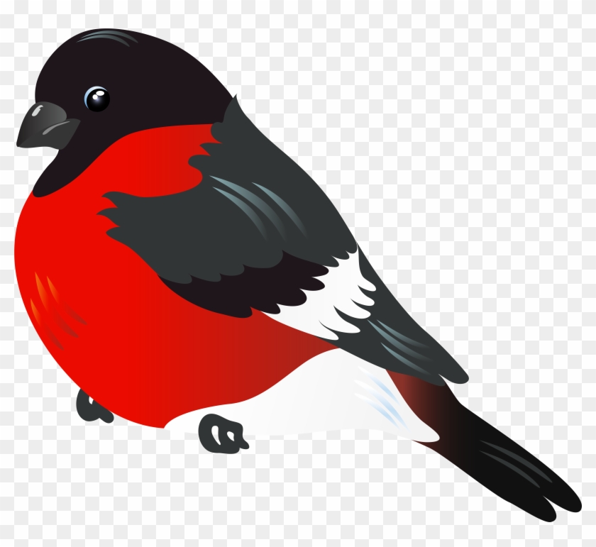 Red Bird Png Clipart Image - Red Bird Clipart #275658