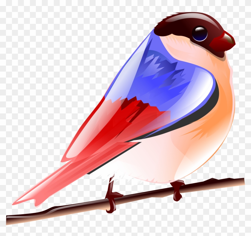 Bird Clipart Colorful Bird - Colorful Birds Clipart #275706