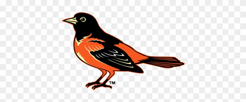 Baltimore Oriole Clipart - Baltimore Orioles #275707