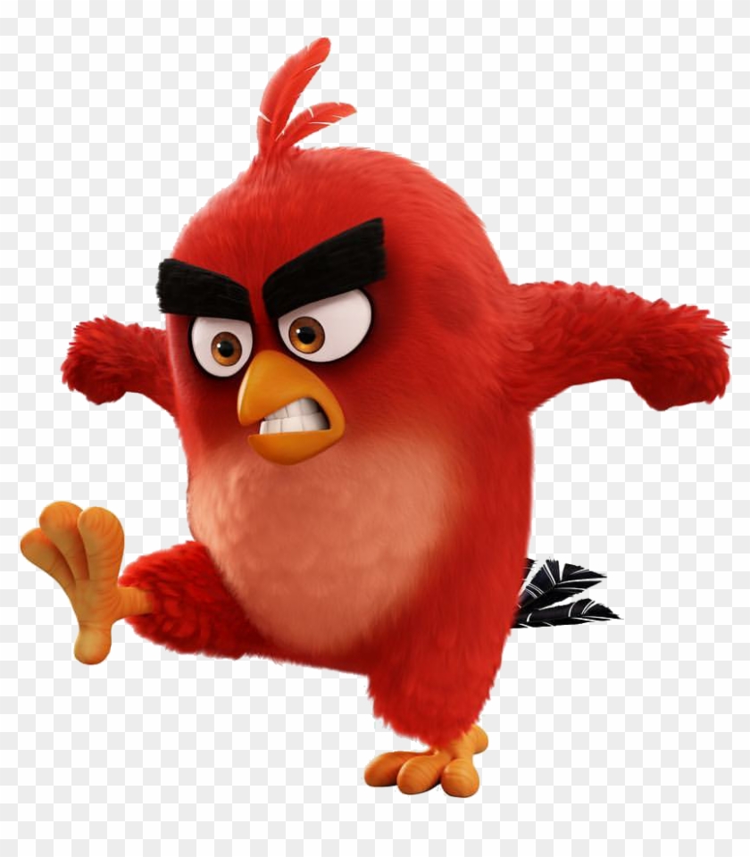 File History - Angry Bird The Movie Red #275729