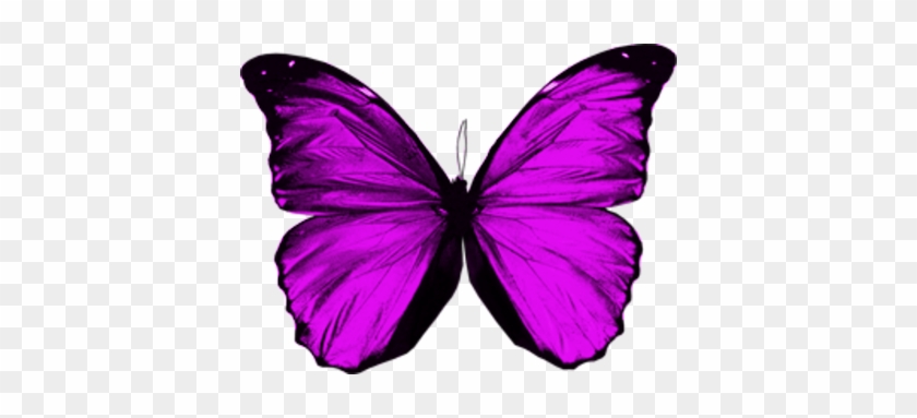 Purple Butterfly - Purple Butterfly Wings Png #275785