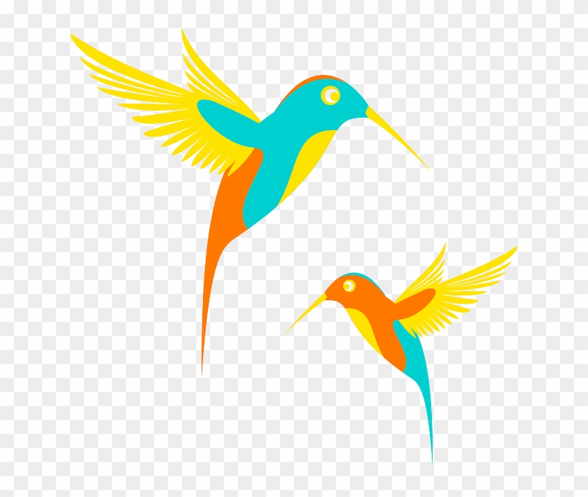 Hummingbird, Birds, Birdie, Anima, Exotic, Colorful - Colibri Logo Png #275828