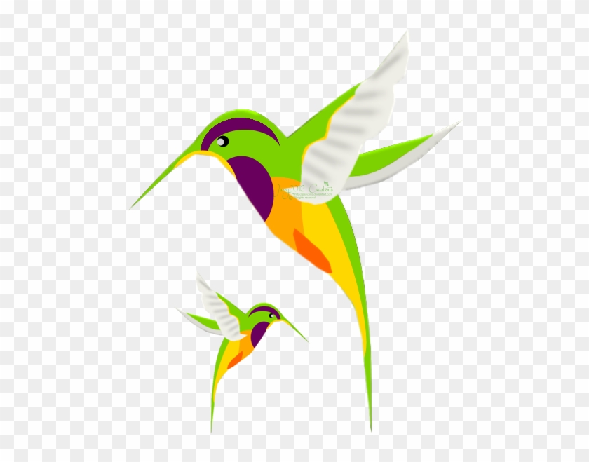 Two Painted Hummingbirds - Beija Flor Desenho Png #275838