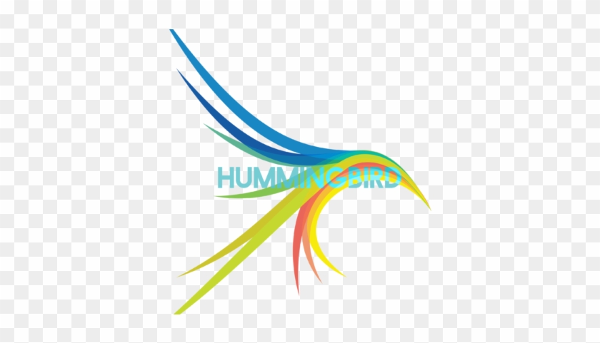 Hummingbird Aerials & Motion - Graphic Design #275844