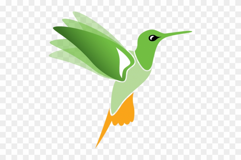 Safydesign - Ruby-throated Hummingbird #275872