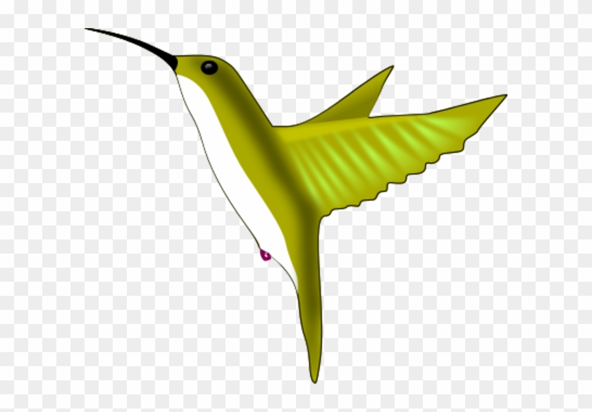 Large Green Hummingbird - Hummingbird #275874