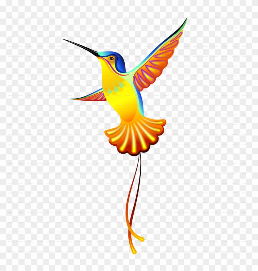 Hummingbird Colorful Heart Png5000 Hummingbird Hibiscus - Dibujo De Un Quinde #275885