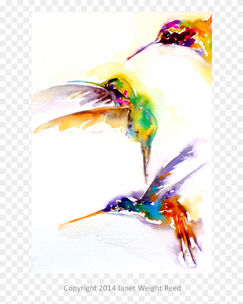 "three On A Mission" Hummingbird Print By Janet Weight - Creative Arts #275893