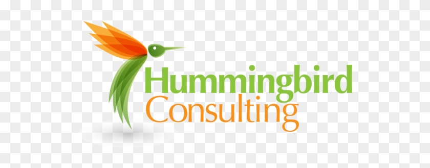 Hummingbird Consulting Branding & Web - Lions Recycle For Sight #276008