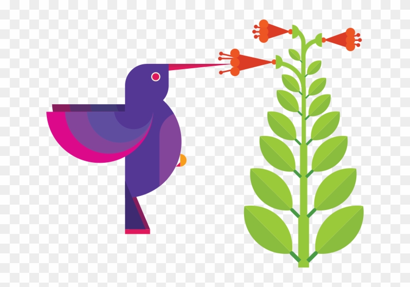Graphic Design Hummingbird - Graphic Design Hummingbird #276081