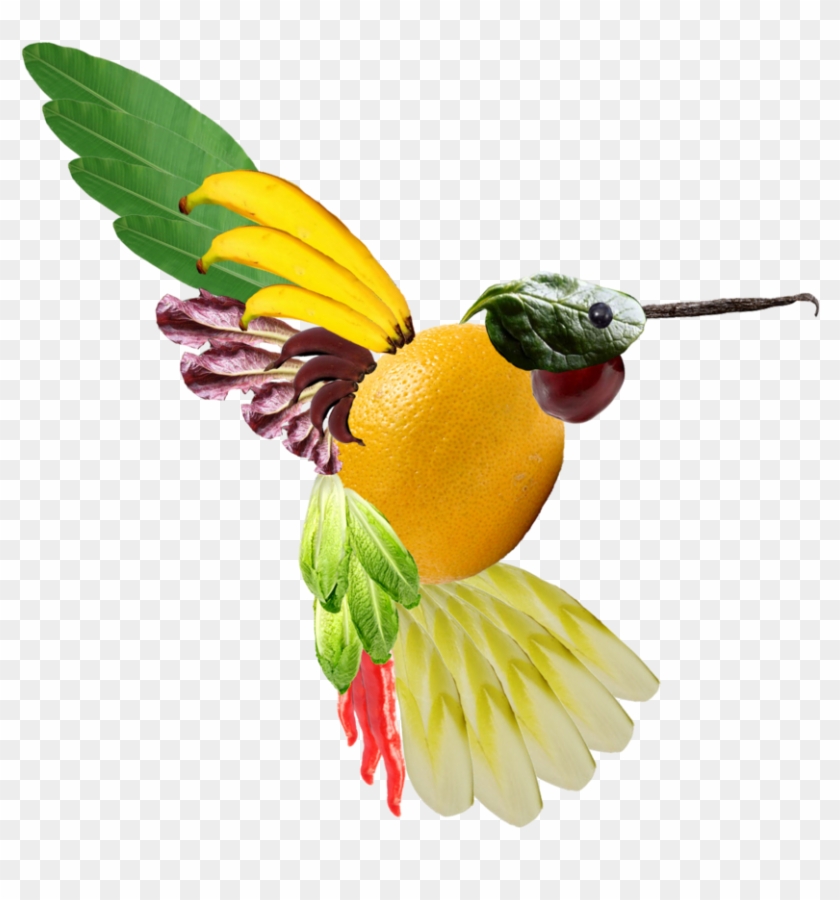 An Edible Hummingbird By Swelt2 - Coraciiformes #276097