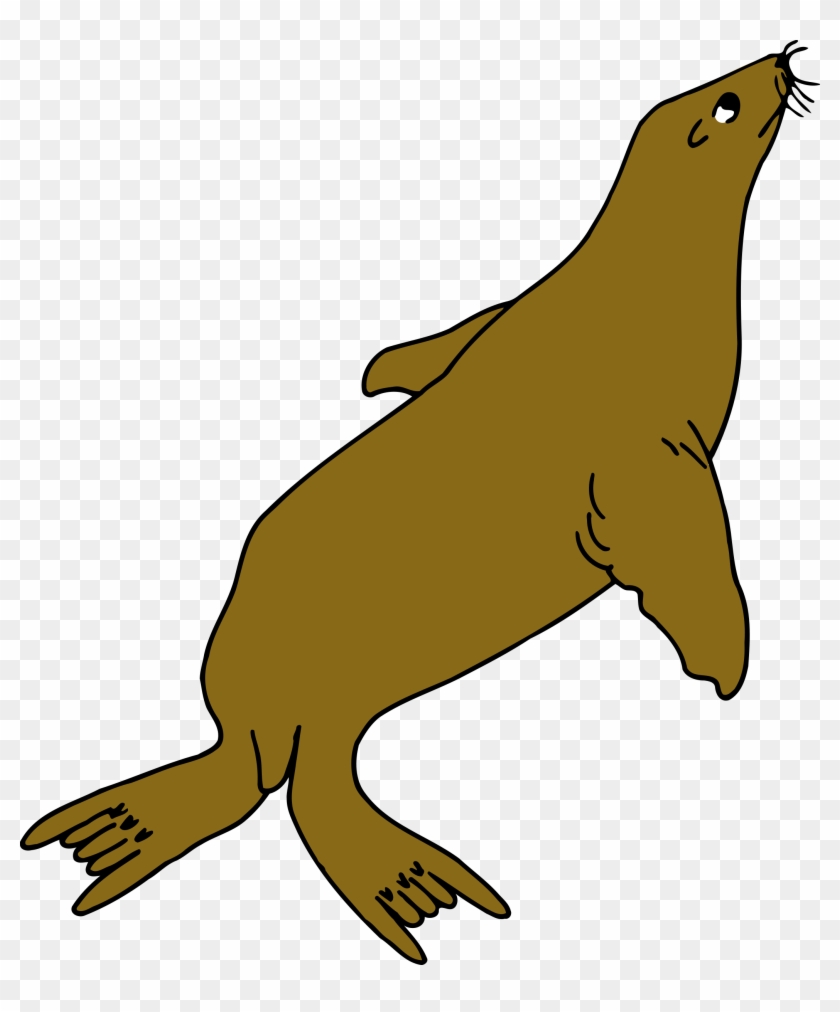 Seal Clipart Tail - Portable Network Graphics #276105