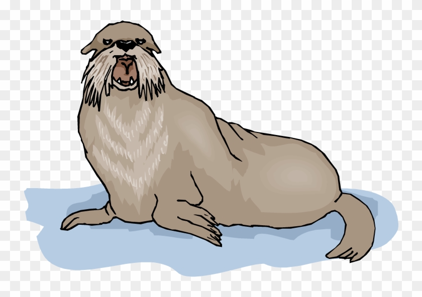 Walrus Tusks Clipart - Illustration #276126