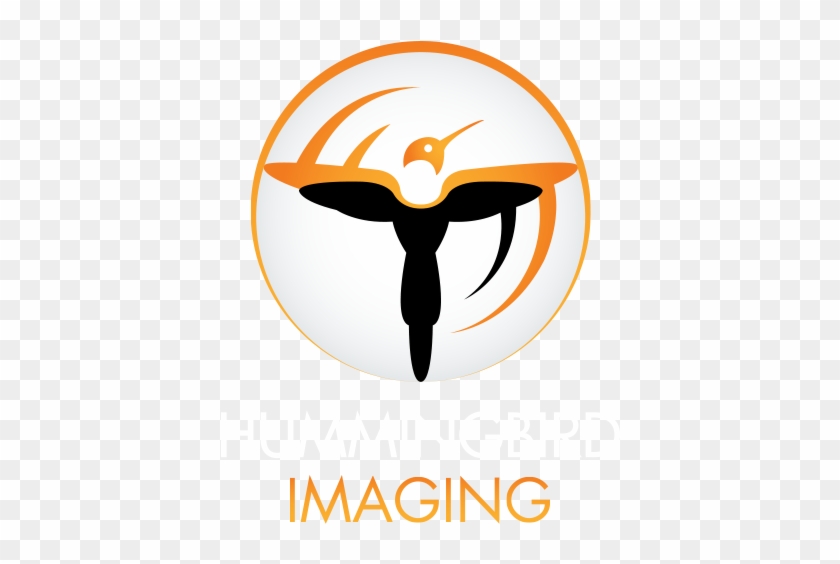 Orange Logo Hummingbird Imaging - Emblem #276128
