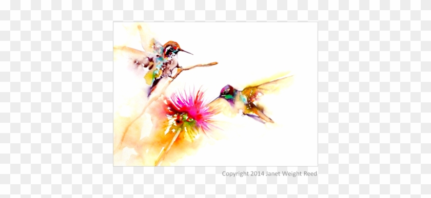 "thistle For Two" Hummingbird Print On Aluminum By - Hummingbird #276133